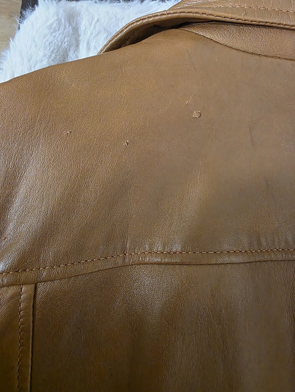 Spanish Genuine Sheep Leather Double Zip Moto Biker Jacket Brown - Picture 10 of 14